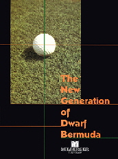 Milberger-Dwarf-Bermuda-Brochure
