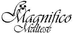 Magnifico-Maltese-Logo