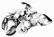 Seafood-Drawing